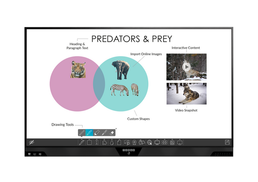 Tango Teach Interactive Display 65"