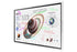 Samsung Flip Pro 55"
