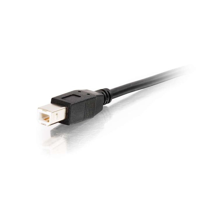 25ft USB A/B Active Cable (Center Booster Format)